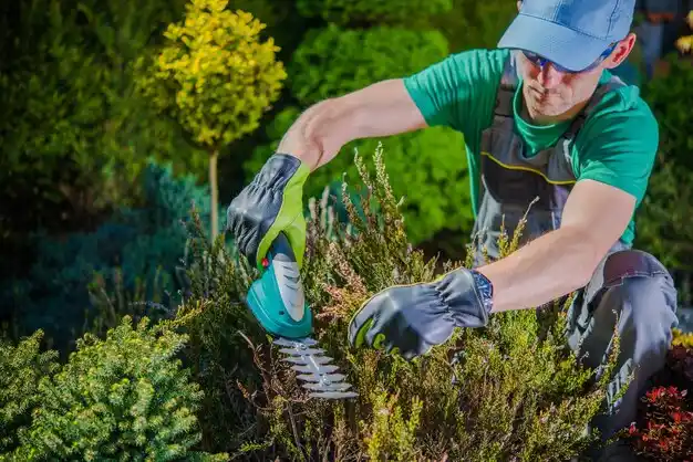 landscaping services Salyersville
